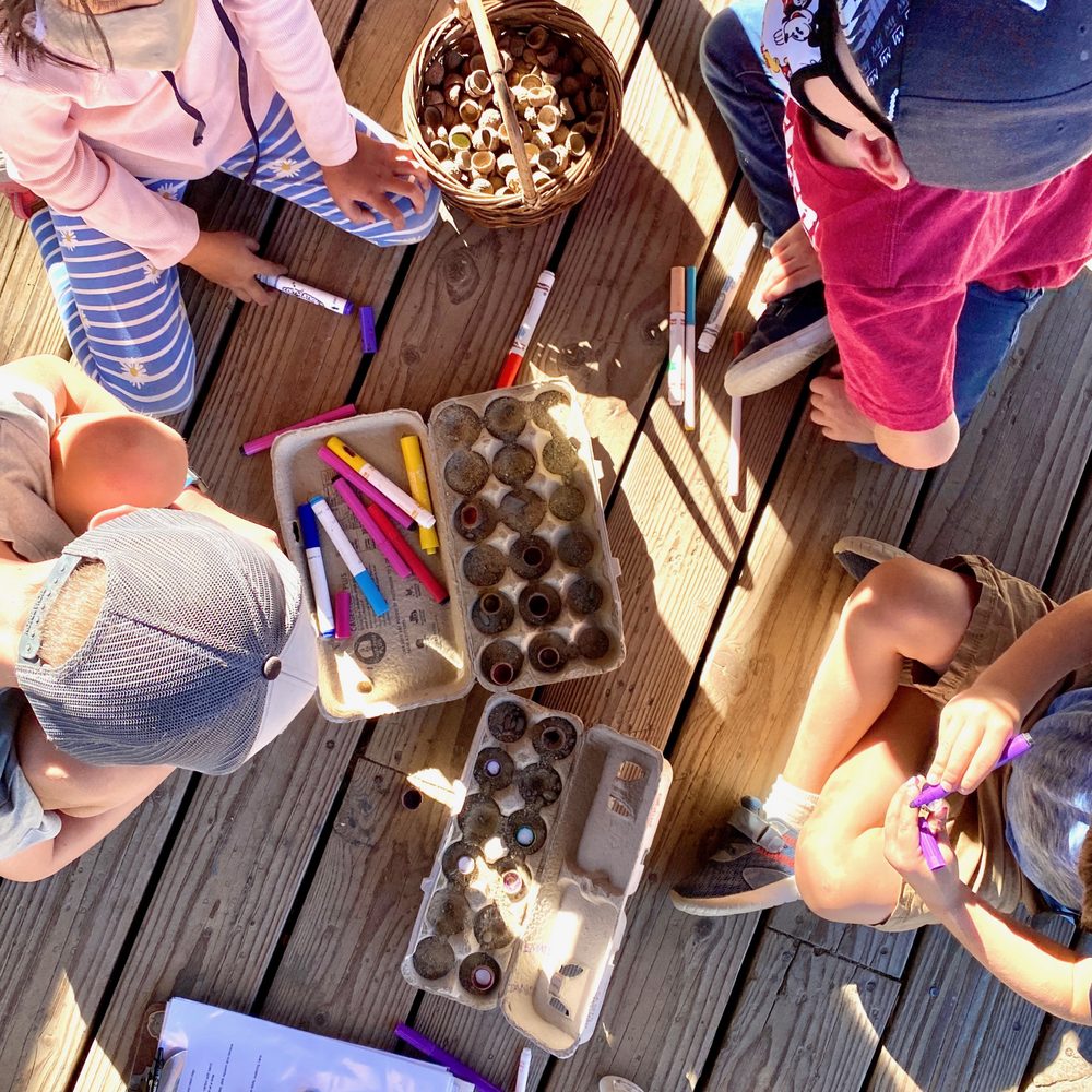 TOP 10 BEST Summer Camp near Lafayette, CA - Updated 2026 - Yelp