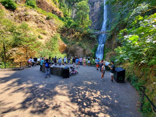 Multnomah Falls by null