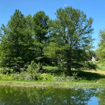 Sawyer Tree Service - Tree Services Near Me Sawyer Tree Service - Tree Services Near Me