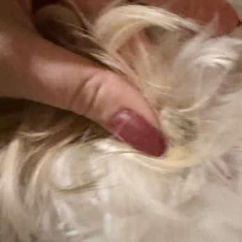 Barking Muse - a mat behind her ear - Pet Groomers Near Me - Sugar Land, Texas