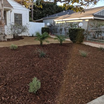 Rosales Tree Care & Landscape Development - Front yard after - Tree Services Near Me - Encino , California Rosales Tree Care & Landscape Development - Front yard after - Tree Services Near Me - Encino , California