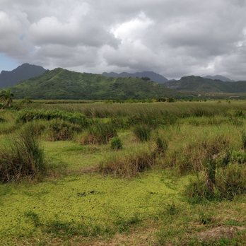 Kawainui Marsh Trail - Hiking Near Me - Kailua, Hawaii