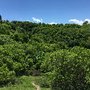 Photo of Rotary Glen Park