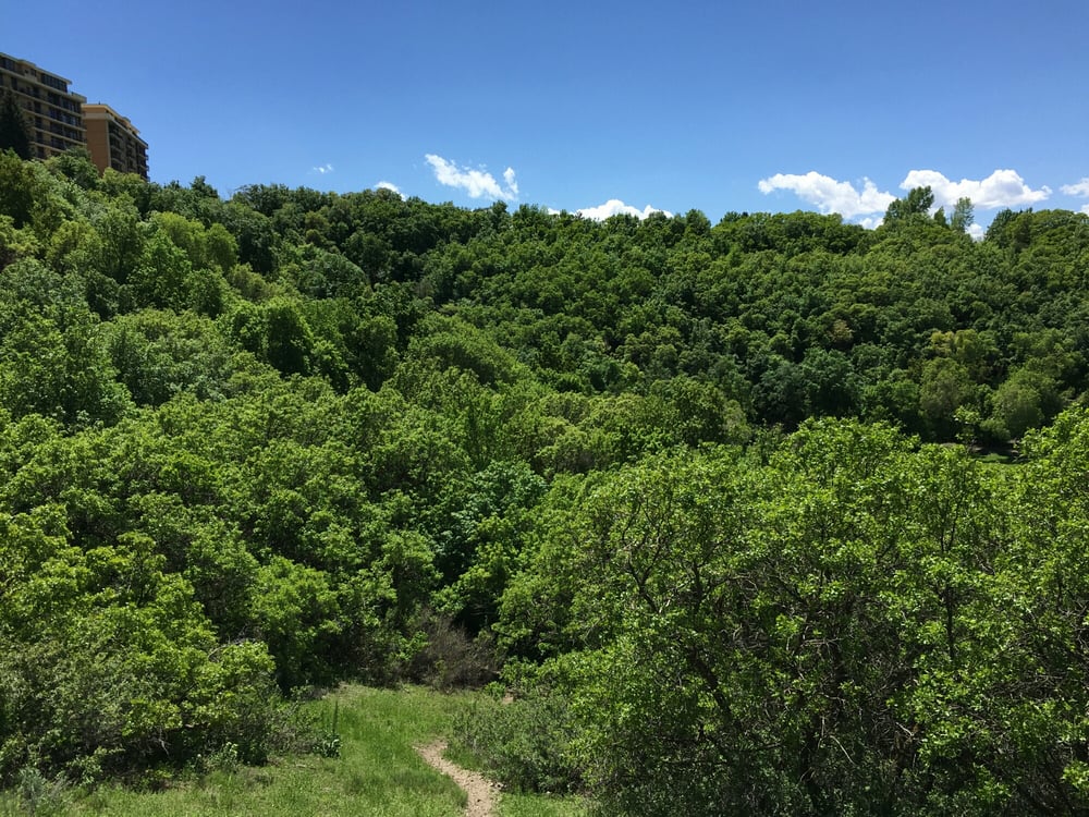 ROTARY GLEN PARK Updated September 2024 10 Photos 2850 Sunnyside Ave S, Salt Lake City