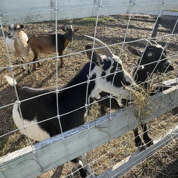 Alaska Farms - Yoga Near Me - Orlando, Florida Alaska Farms - Yoga Near Me - Orlando, Florida
