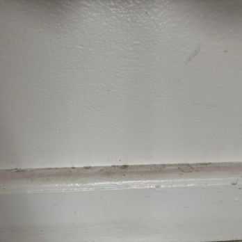 SheBuiltCleaning C.O_llc - Home Cleaning Near Me SheBuiltCleaning C.O_llc - Home Cleaning Near Me