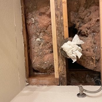 Hawkeye Home Experts - Leaking sewer line, that he could have noticed only if he went to basement. - Home Inspectors Near Me - Sacramento, California Hawkeye Home Experts - Leaking sewer line, that he could have noticed only if he went to basement. - Home Inspectors Near Me - Sacramento, California