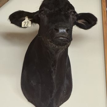 Sun Cattle - Decor - Burgers Near Me - Oklahoma City, Oklahoma