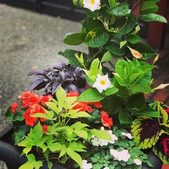Simply Done - Last year's summer planter - Home Organization Near Me
