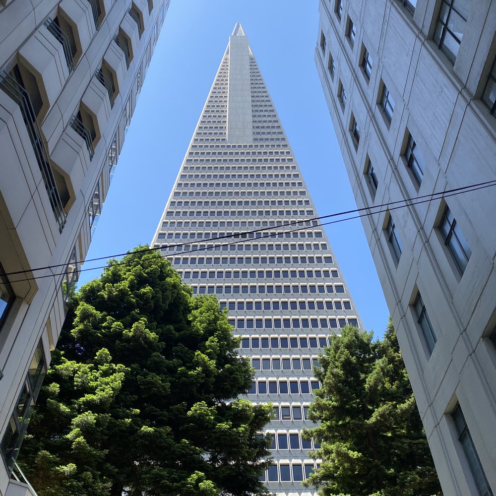 Free Tours by Foot - Tour ends at the Transamerica Redwood Park - Walking Tours Near Me - San Francisco, California Free Tours by Foot - Tour ends at the Transamerica Redwood Park - Walking Tours Near Me - San Francisco, California