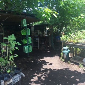 Organics Today - Farmers Market Near Me - East Islip, New York