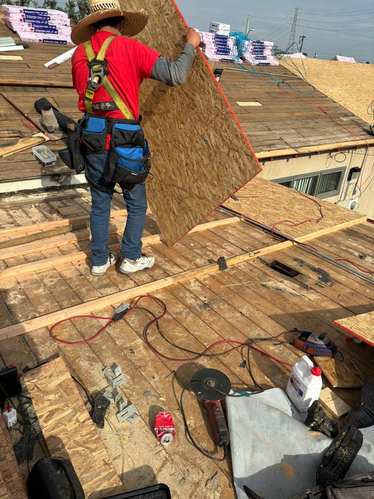 Slide of Oscar & Rosa