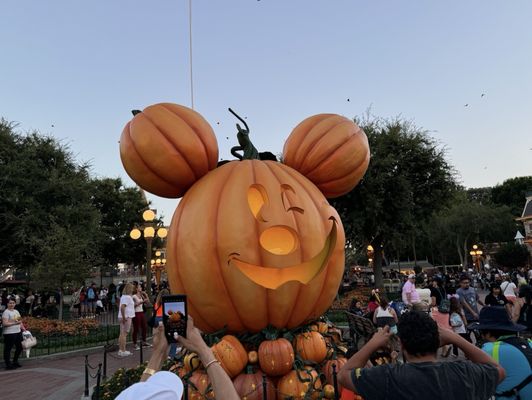 Disneyland Resort by null