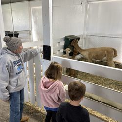 Alpaca Country Estates - Alpaca nursery with Nancy.