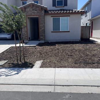 Purple Oak Landscape - Before - Landscaping Near Me Purple Oak Landscape - Before - Landscaping Near Me