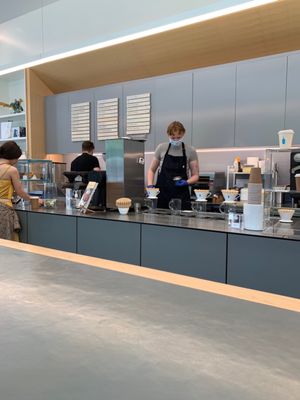 Blue Bottle Coffee by null