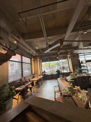 40 LBS Coffee + Bar by null