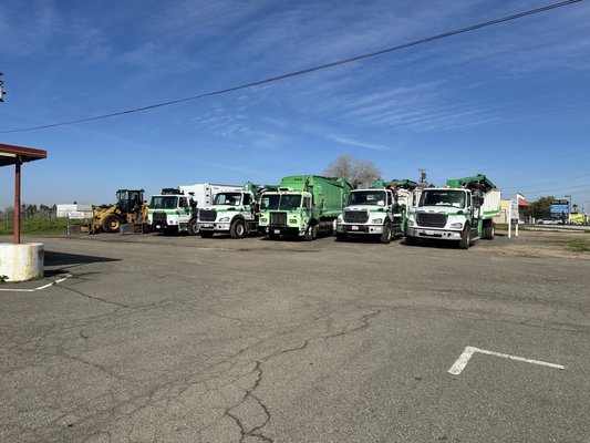 Lou's Burgers by null