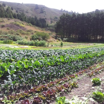 Tennessee Valley - organic farm on Green Gulch Trail - Hiking Near Me - Mill Valley, California Tennessee Valley - organic farm on Green Gulch Trail - Hiking Near Me - Mill Valley, California