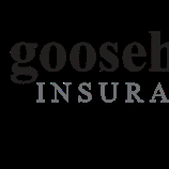 Britni Franklin - Goosehead Insurance - Home & Rental Insurance Near Me - Chicago, Illinois Britni Franklin - Goosehead Insurance - Home & Rental Insurance Near Me - Chicago, Illinois