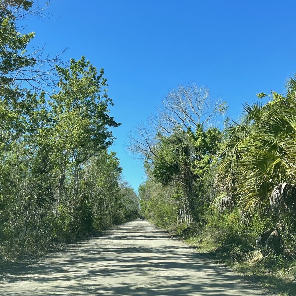 Fakahatchee Strand Preserve State Park - 11 mile,  Jane scenic dirt road - Parks Near Me - Copeland, Florida