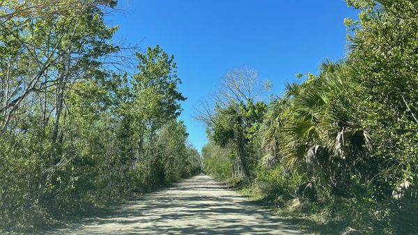 Fakahatchee Strand Preserve State Park by null