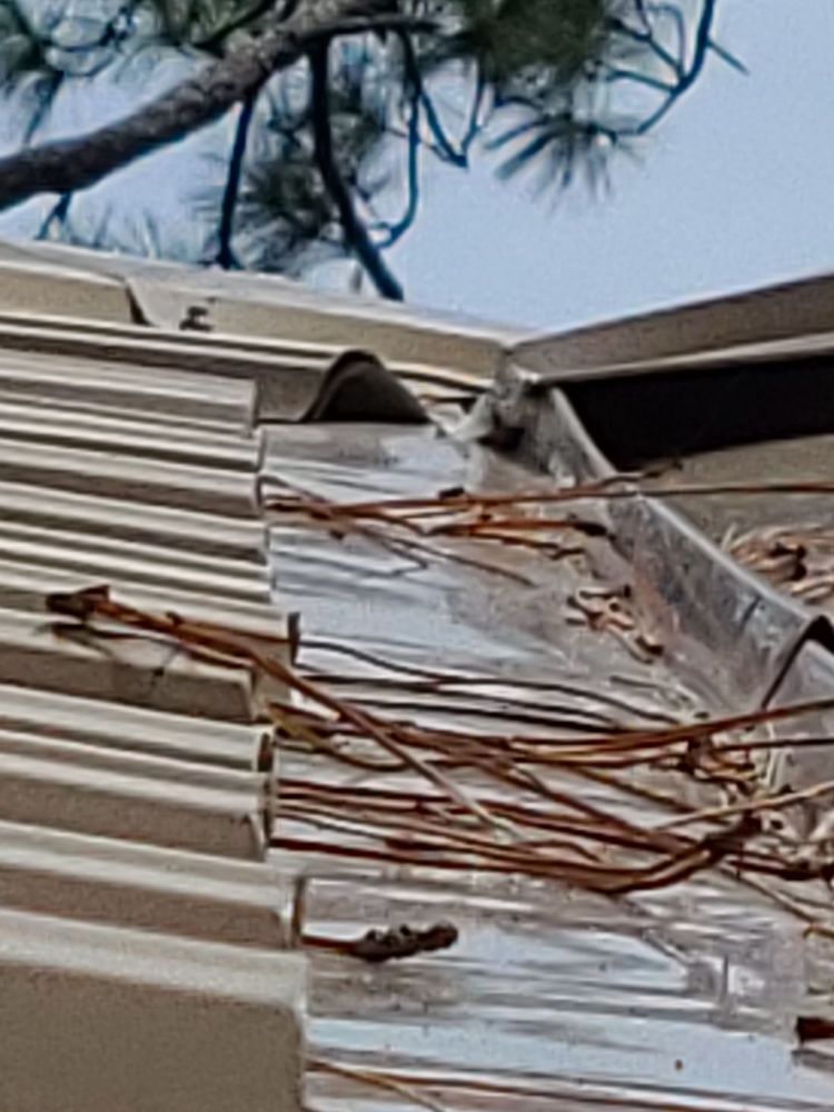 Slide of Lewis Walker Roofing