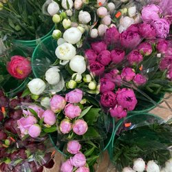 Broadview Flower Market