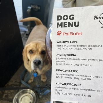 Hard Rock Cafe Kraków - Dog Menu - Burgers Near Me - Kraków, Massachusetts