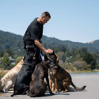 Black Wolf Adventures - Feeding Bella - Dog Walkers Near Me Black Wolf Adventures - Feeding Bella - Dog Walkers Near Me