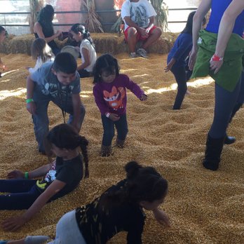 Galloping Goat Pumpkin Patch - fun corn box - Pumpkin Patches Near Me - Rio Rancho, New Mexico