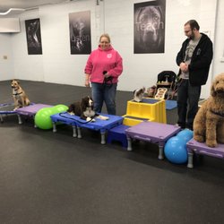 Dogsmartz Unleashed - Daycamp