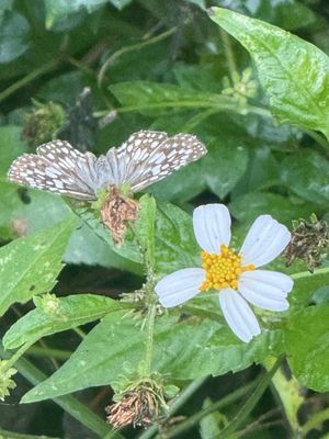 Philippe Park by null