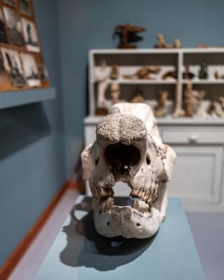 Albuquerque Museum by null