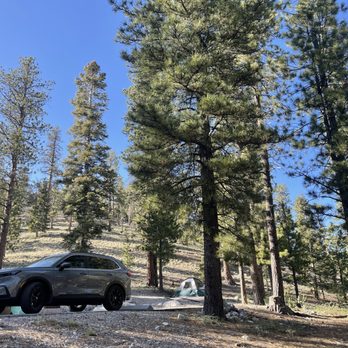 McWilliams Campground - Tent site and parking - Hiking Near Me - Las Vegas, Nevada McWilliams Campground - Tent site and parking - Hiking Near Me - Las Vegas, Nevada
