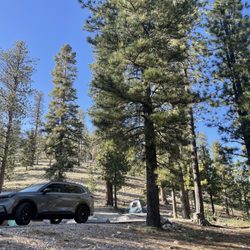 McWilliams Campground - Tent site and parking