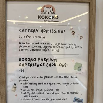 KOKORO CAT CAFE - Updated January 2026 - 63 Photos & 17 Reviews - 133