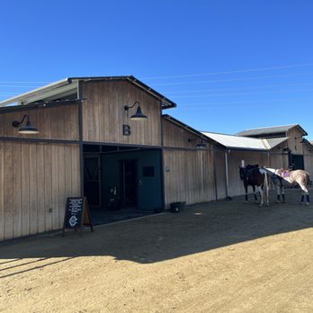 Orange County Polo Club - Sports Clubs Near Me - Silverado, California Orange County Polo Club - Sports Clubs Near Me - Silverado, California
