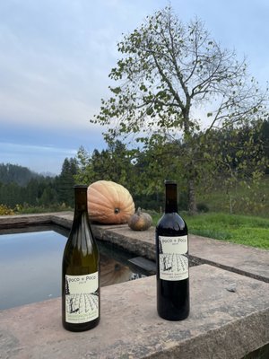 Porter-Bass Winery by null