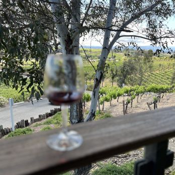 Van'N Boozy - Wine Tours Near Me - Temecula, California Van'N Boozy - Wine Tours Near Me - Temecula, California