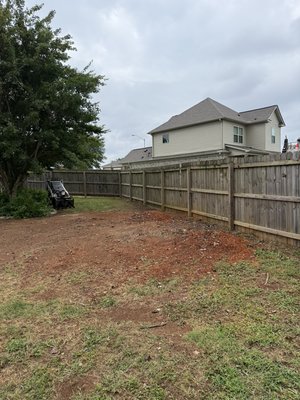 1Pro Tree Service on Yelp