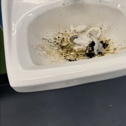 Walnut Creek Intermediate School - WCI restroom