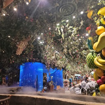 Rainforest Cafe - American Near Me - Auburn Hills, Michigan Rainforest Cafe - American Near Me - Auburn Hills, Michigan