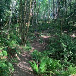 Gazzam Lake Preserve - Can you see the tiny human?  Be aware - it's a very steep trail down to the shore. Save some energy for the walk back up.
