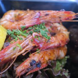 Fishmongers Byron Bay - Grilled prawns with lemon and garlic herbs