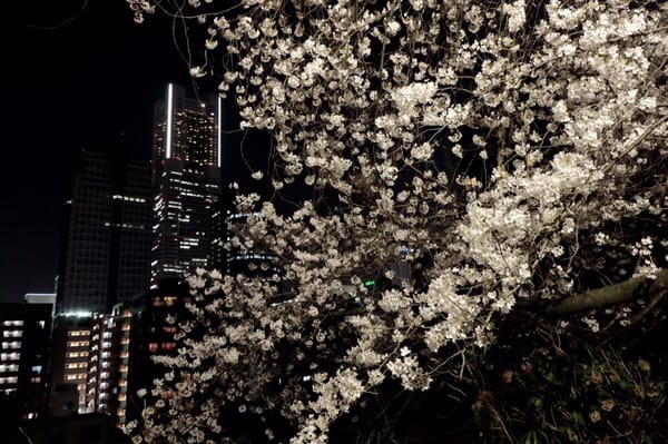 Kamon-yama Park by null