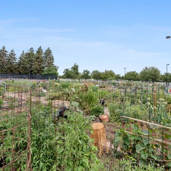 La Vina - Apartments Near Me - Livermore, California La Vina - Apartments Near Me - Livermore, California