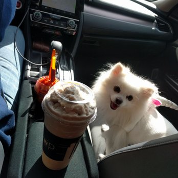 Magic Cup - Huge large size - Coffee & Tea Near Me - Houston, Texas Magic Cup - Huge large size - Coffee & Tea Near Me - Houston, Texas