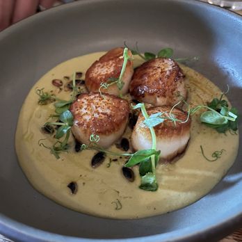 Tobalá - Scallops - Mexican Near Me - Bronx, New York