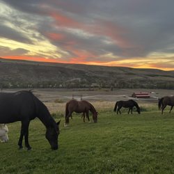 Ranches At Belt Creek - Horses outside clubhouse for dinner